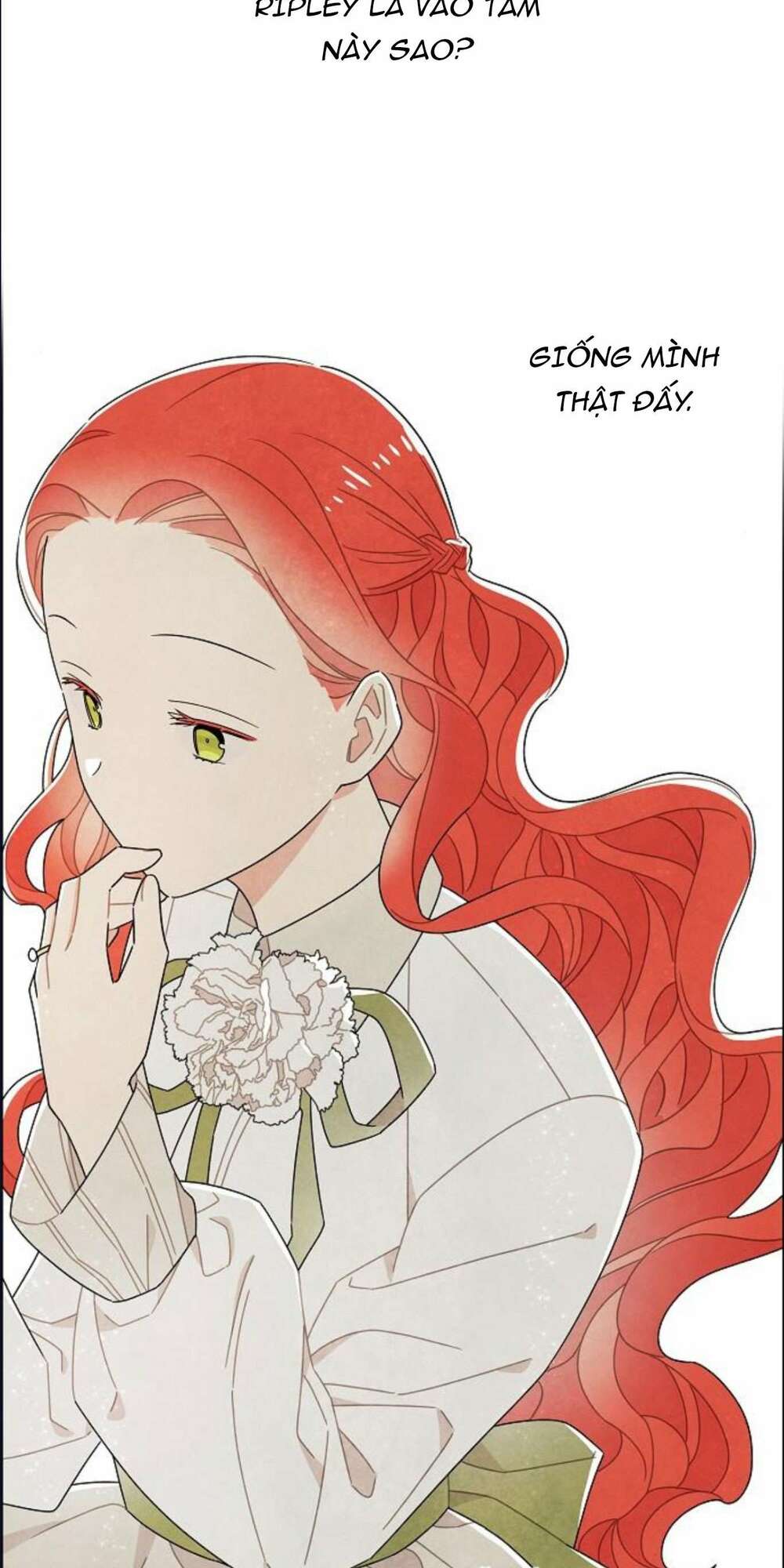 Tôi đã cướp mất đêm đầu tiên của nam chính: Chapter 60