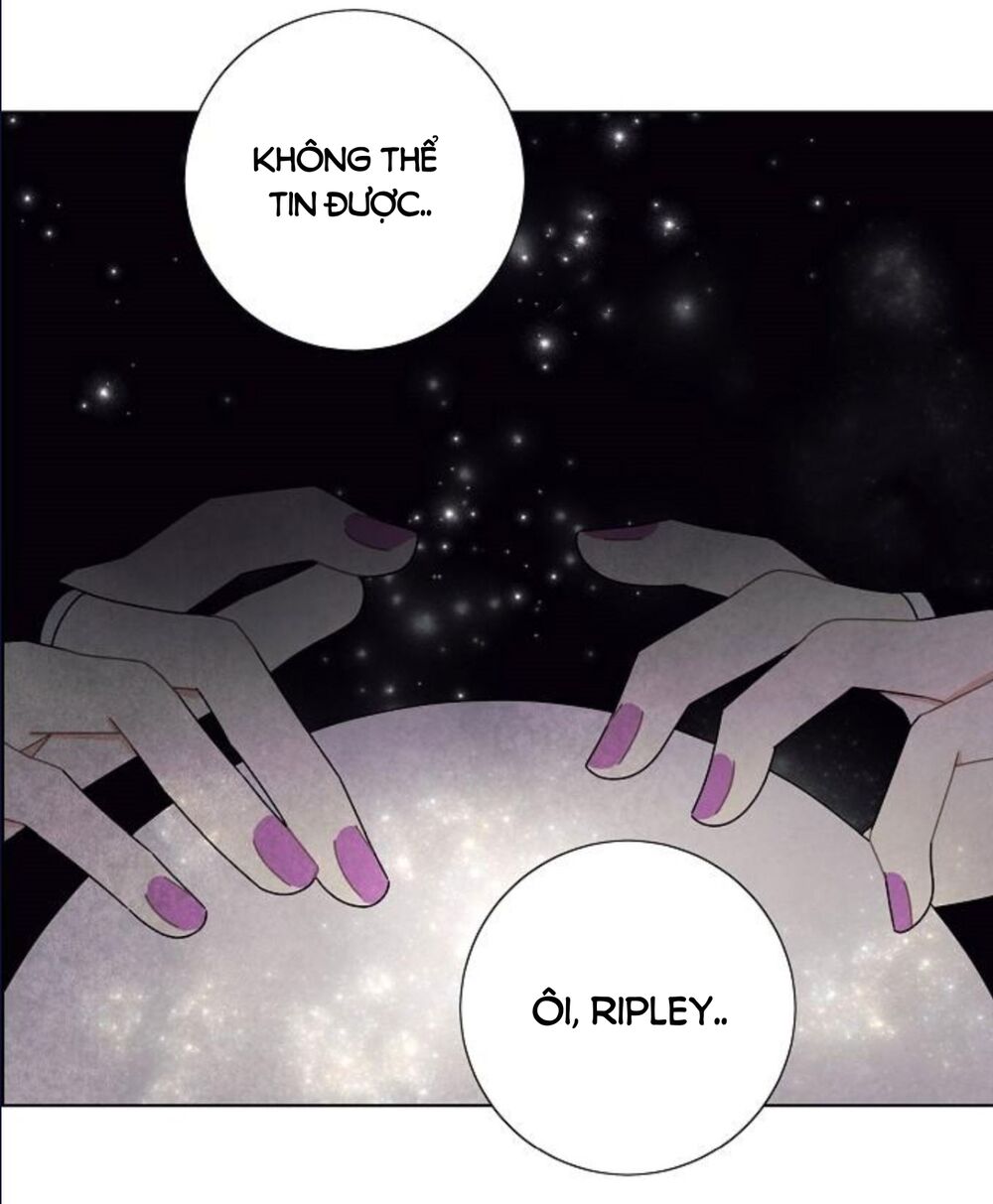 Tôi đã cướp mất đêm đầu tiên của nam chính: Chapter 63.1