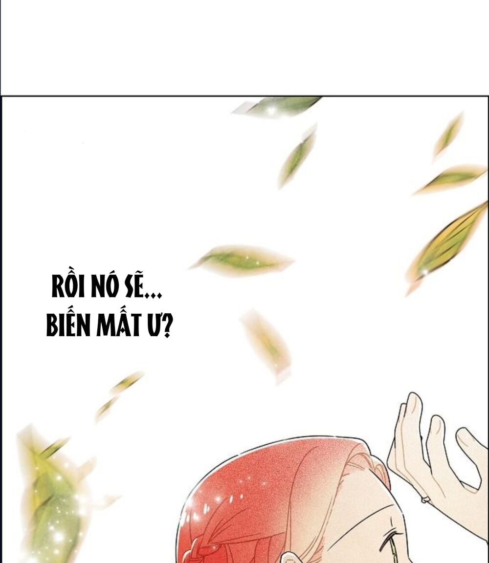 Tôi đã cướp mất đêm đầu tiên của nam chính: Chapter 63.2