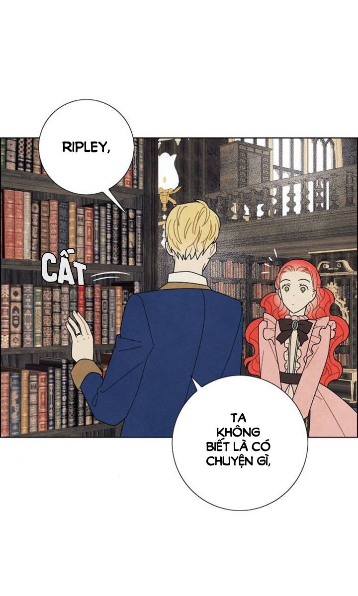 Tôi đã cướp mất đêm đầu tiên của nam chính: Chapter 65