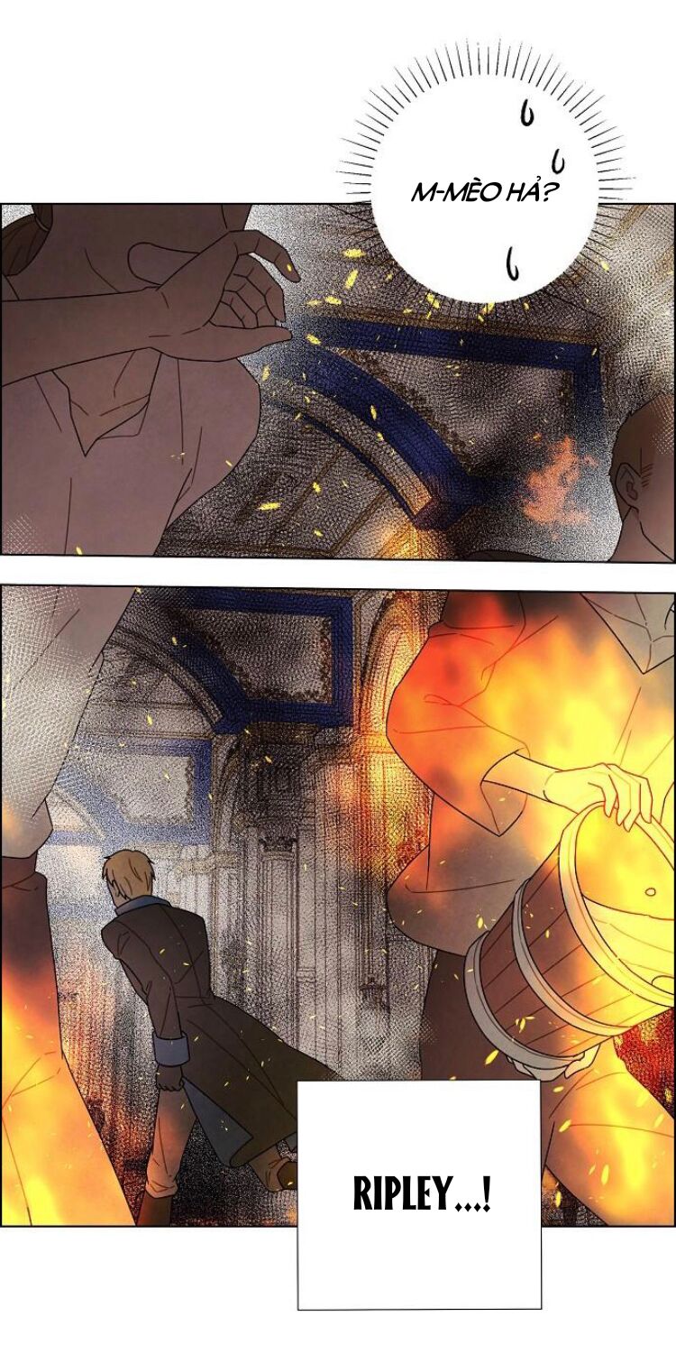 Tôi đã cướp mất đêm đầu tiên của nam chính: Chapter 72