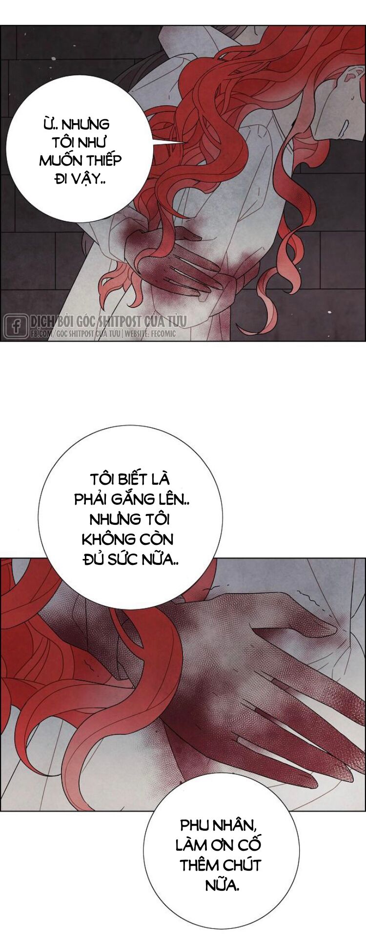 Tôi đã cướp mất đêm đầu tiên của nam chính: Chapter 72