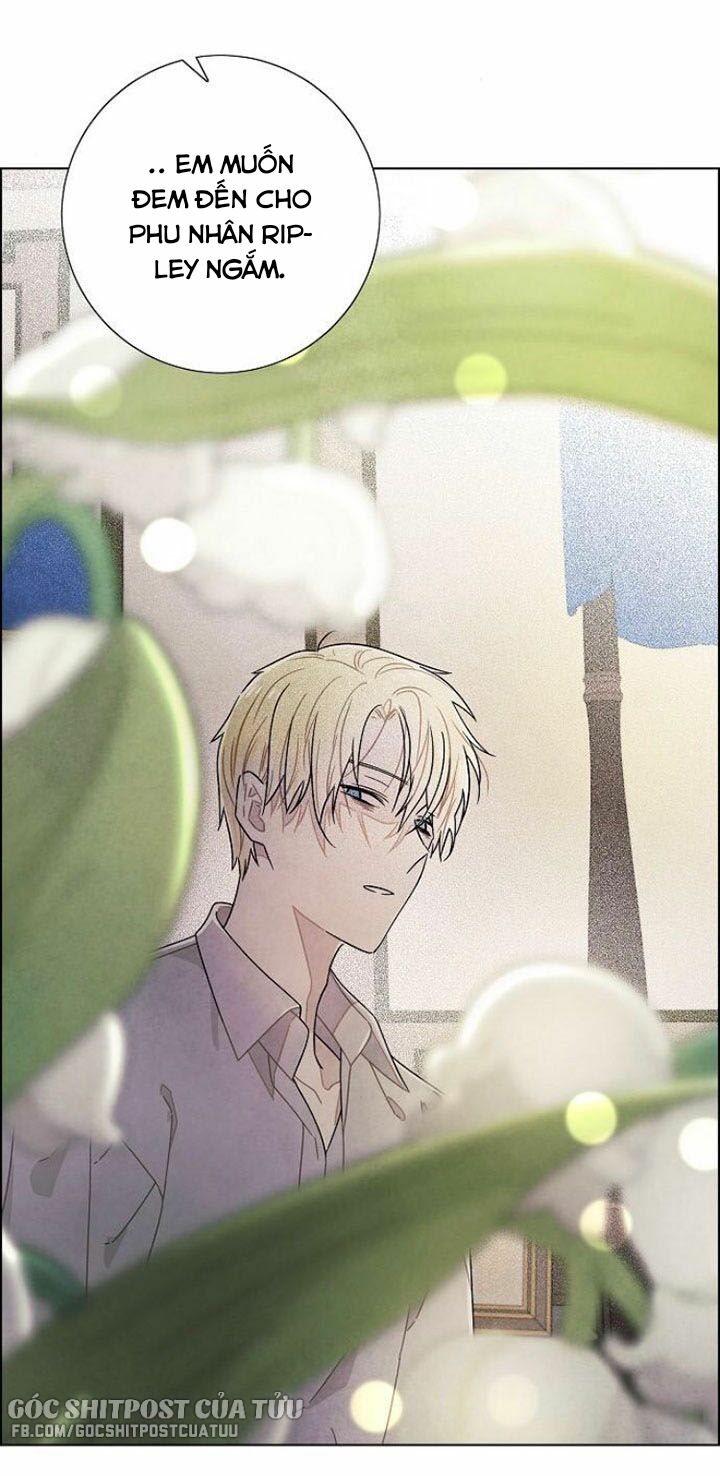 Tôi đã cướp mất đêm đầu tiên của nam chính: Chapter 73