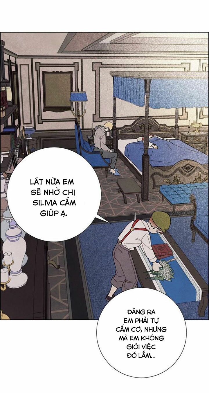 Tôi đã cướp mất đêm đầu tiên của nam chính: Chapter 73