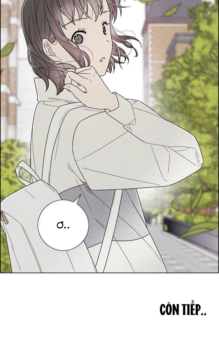 Tôi đã cướp mất đêm đầu tiên của nam chính: Chapter 73
