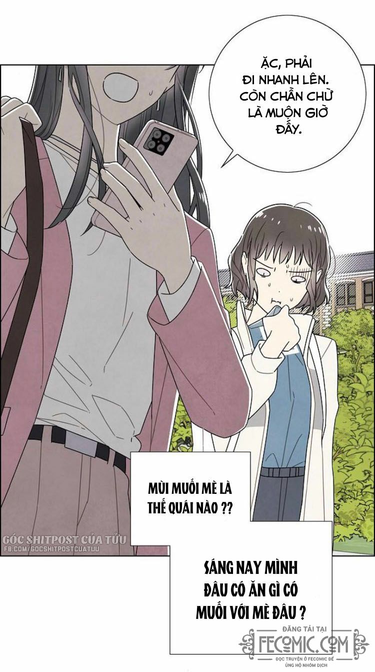 Tôi đã cướp mất đêm đầu tiên của nam chính: Chapter 74