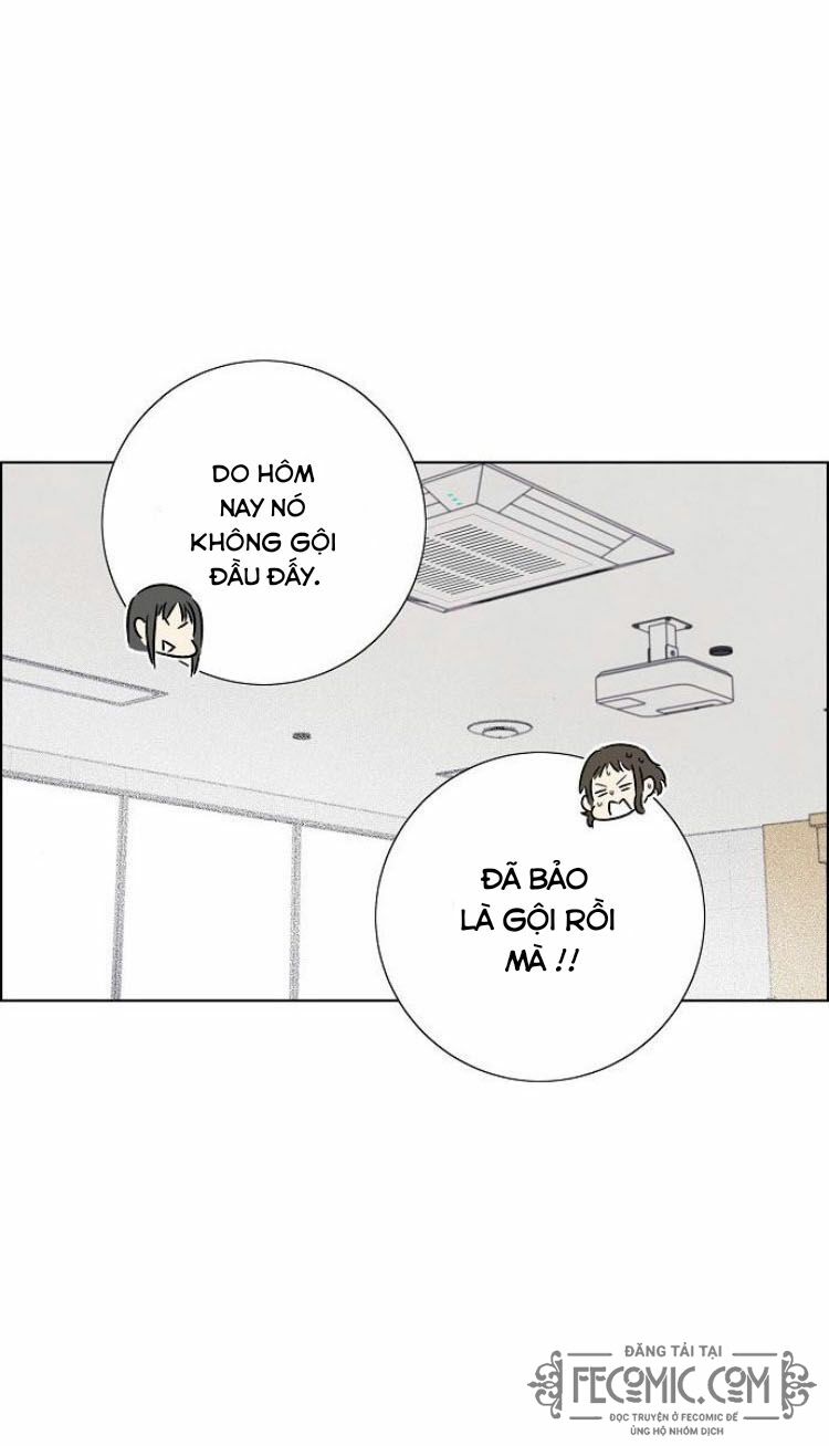 Tôi đã cướp mất đêm đầu tiên của nam chính: Chapter 74