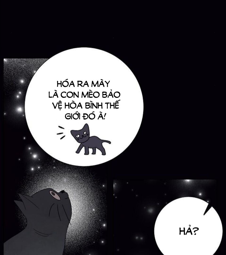 Tôi đã cướp mất đêm đầu tiên của nam chính: Chapter 76