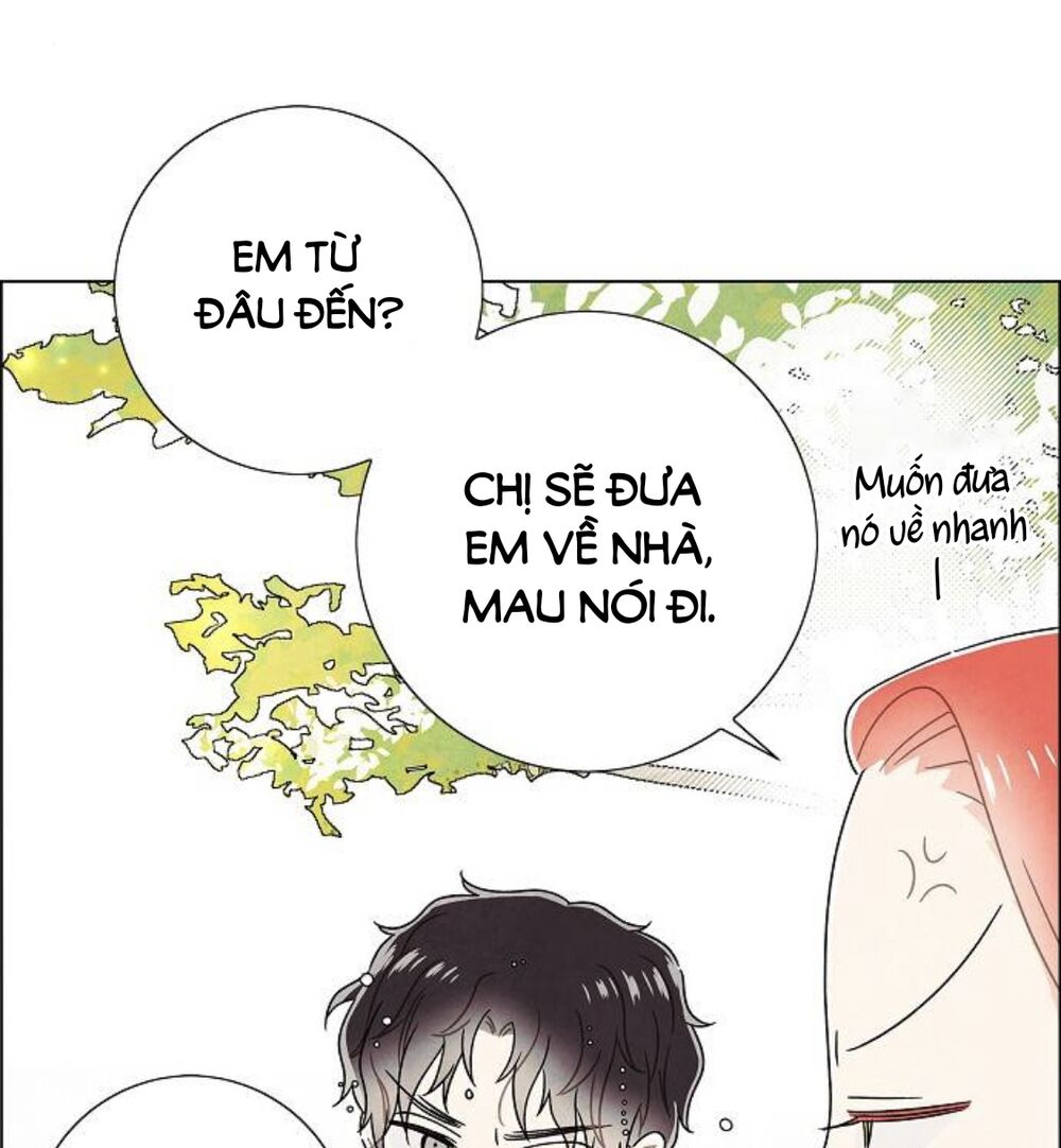 Tôi đã cướp mất đêm đầu tiên của nam chính: Chapter 86