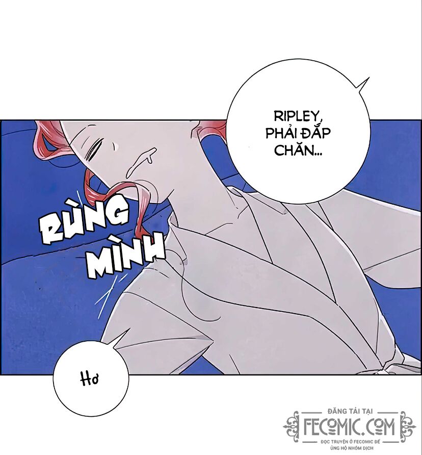Tôi đã cướp mất đêm đầu tiên của nam chính: Chapter 95