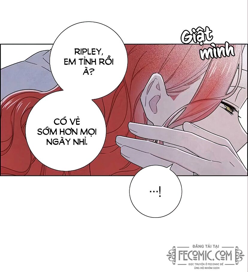 Tôi đã cướp mất đêm đầu tiên của nam chính: Chapter 95