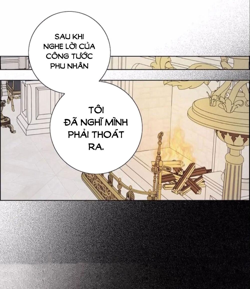 Tôi đã cướp mất đêm đầu tiên của nam chính: Chapter 96
