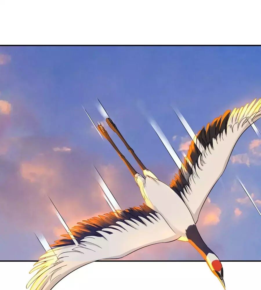 Nữ Tiên Tôn Bận Đào Hôn: Chapter 1.1