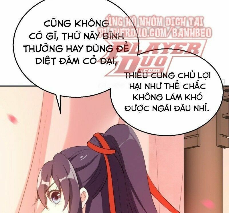 Nữ Tiên Tôn Bận Đào Hôn: Chapter 13