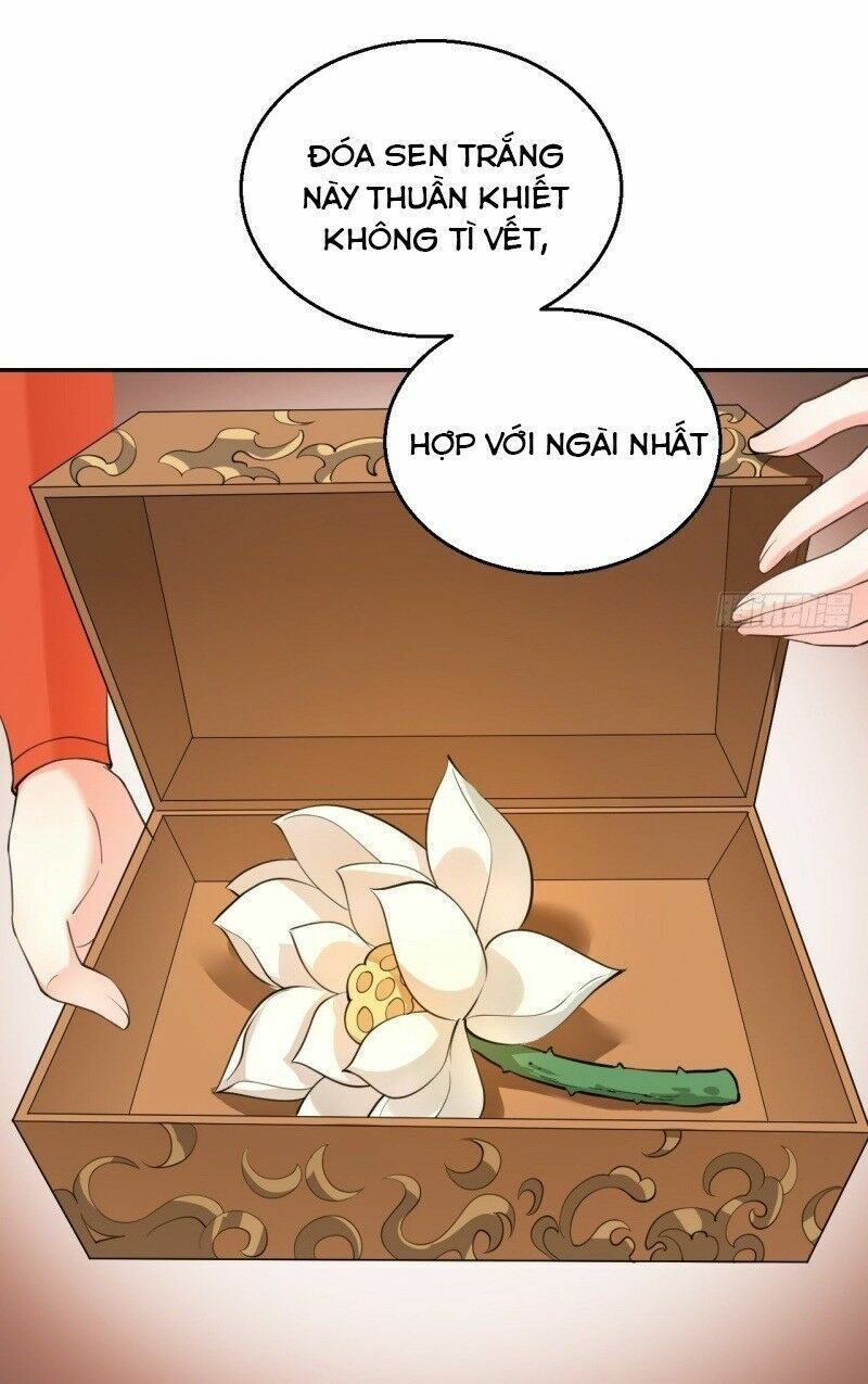 Nữ Tiên Tôn Bận Đào Hôn: Chapter 14