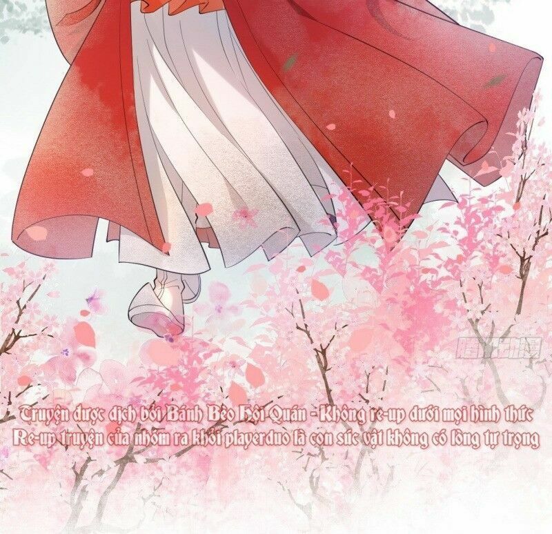 Nữ Tiên Tôn Bận Đào Hôn: Chapter 14