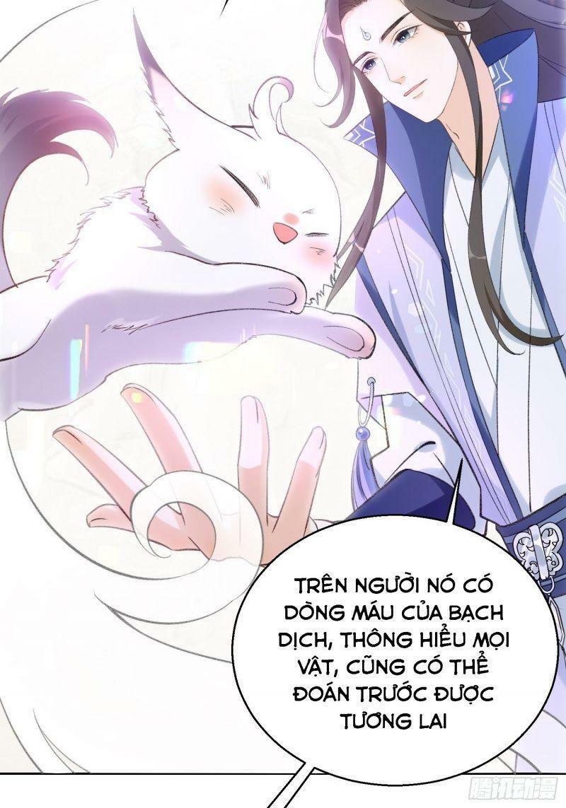 Nữ Tiên Tôn Bận Đào Hôn: Chapter 31