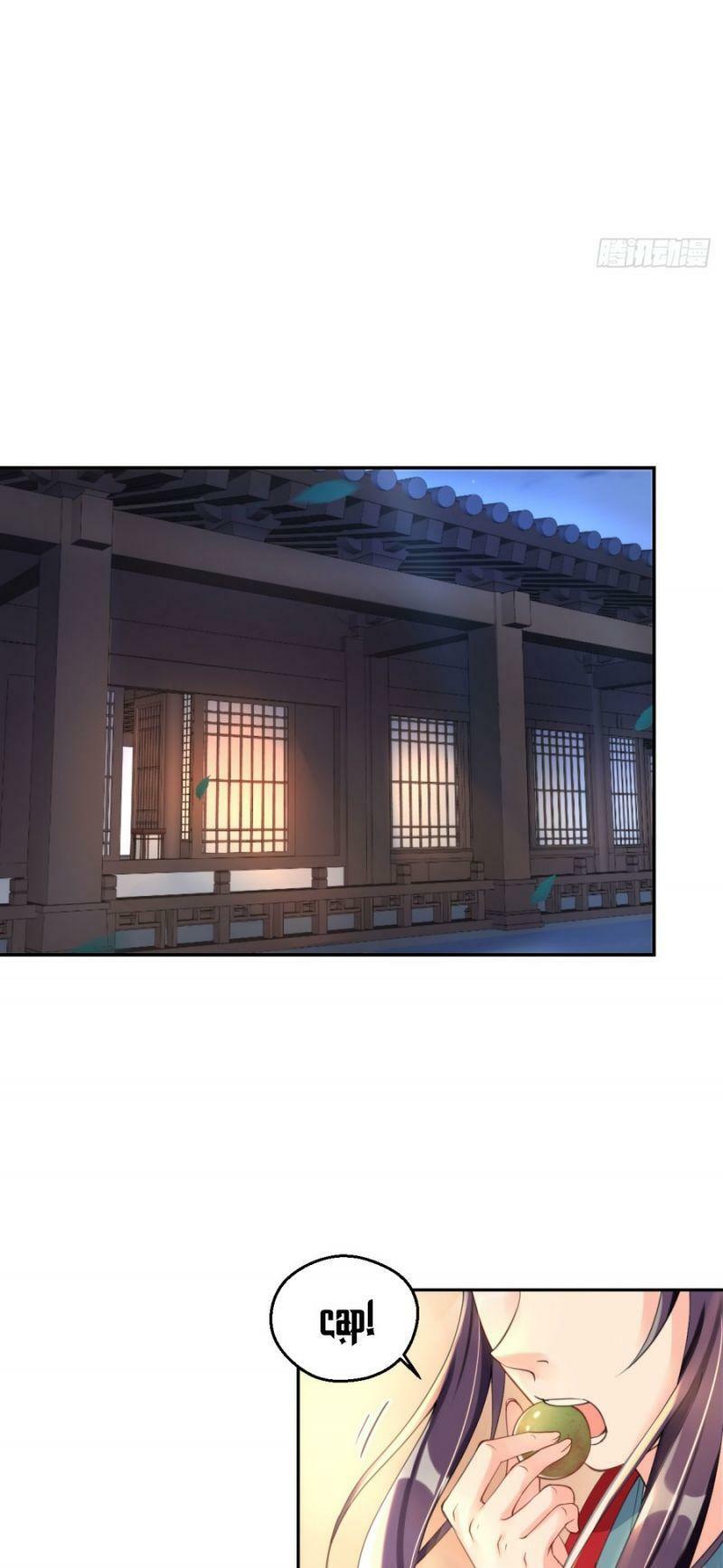 Nữ Tiên Tôn Bận Đào Hôn: Chapter 6