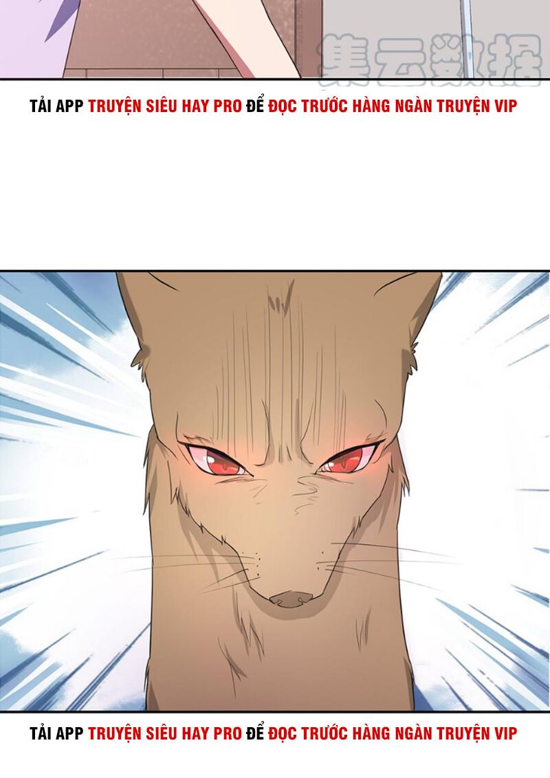 Bạn Gái Tôi Không Phải Người: Chapter 77