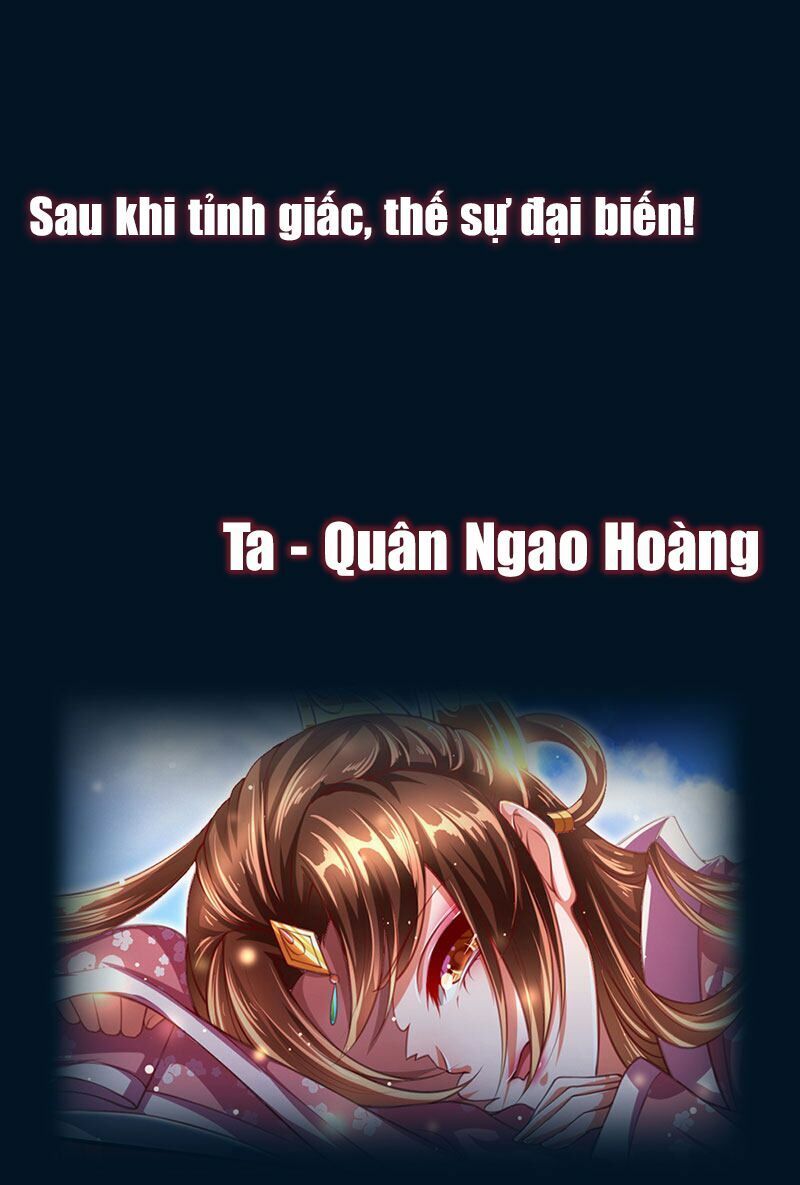 Phượng Lâm Thiên Hạ: Thiên Hạ Đệ Nhất Nữ Quân: Chapter 0: GIỚI THIỆU