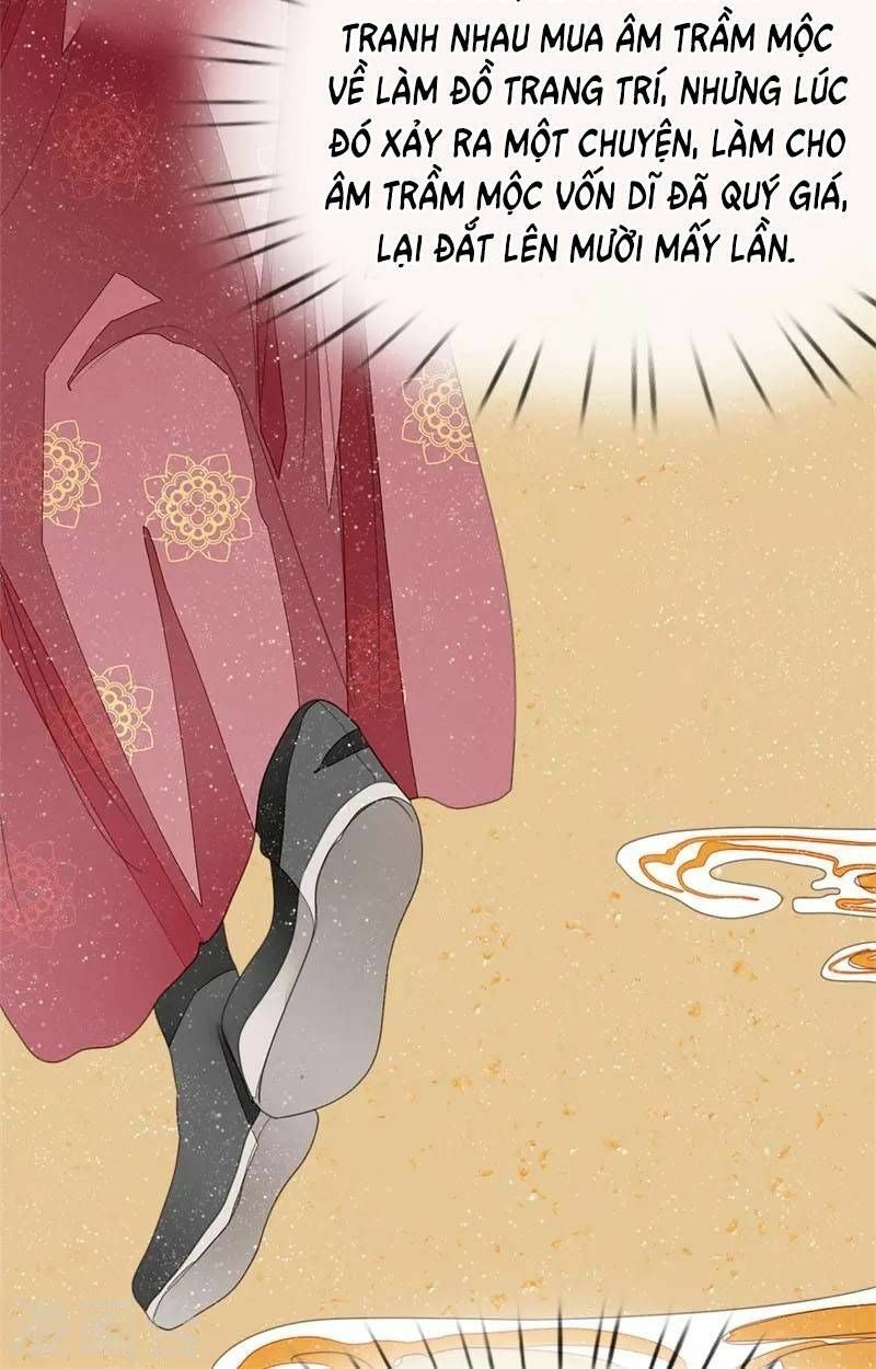 Đệ Nhất Hoàn Khố: Chapter 17