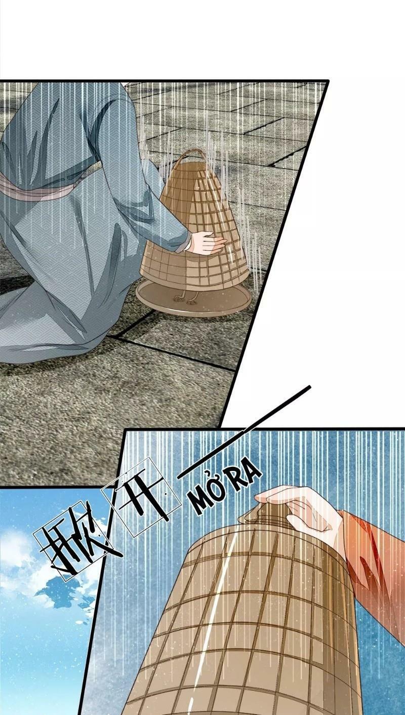 Đệ Nhất Hoàn Khố: Chapter 88