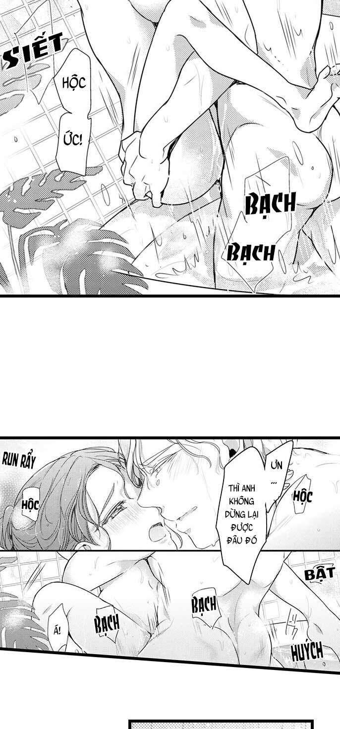 Sai rồi, sếp tây nhà tôi không phải là quý ông đâu!: Chapter 62