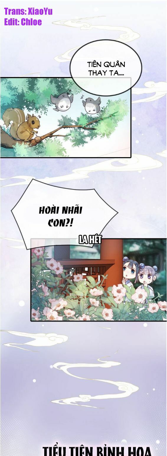 Tiểu Tiên Gia Sương Hữu Hỉ: Chapter 0