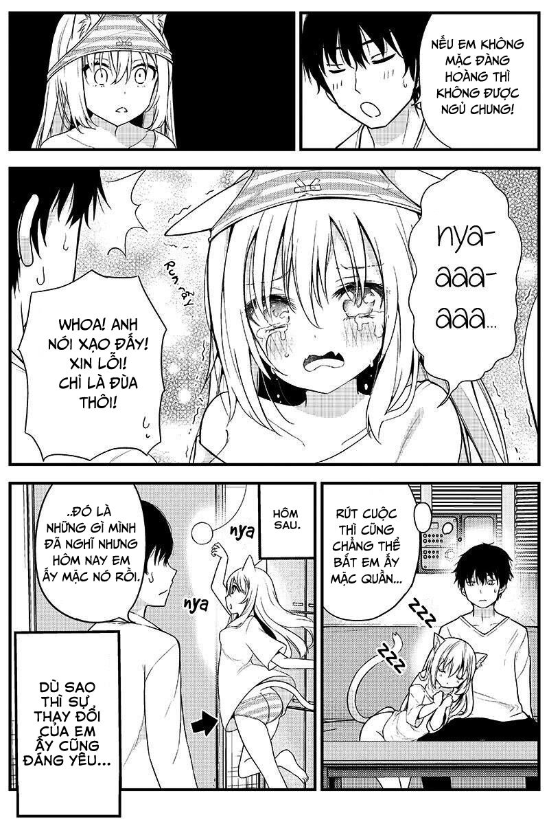 Sabishigariya no muboubi nyanko: Chapter 1