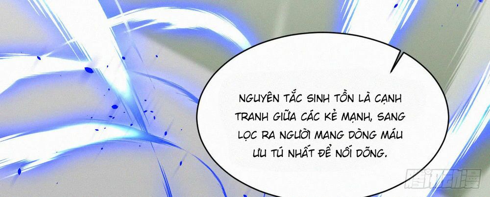 Triều Tây, In Or Out: Chapter 11