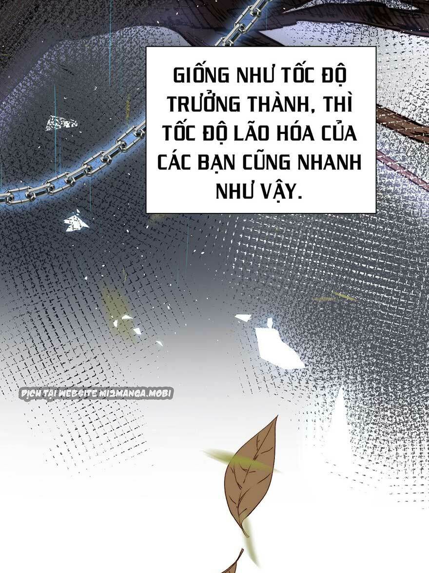 Triều Tây, In Or Out: Chapter 14