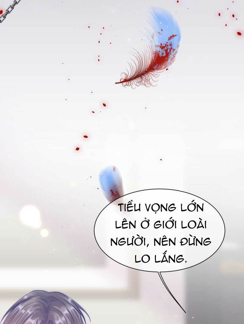Triều Tây, In Or Out: Chapter 31.2
