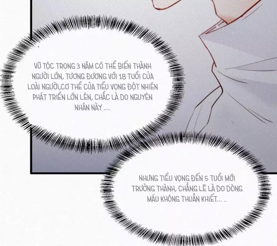 Triều Tây, In Or Out: Chapter 4