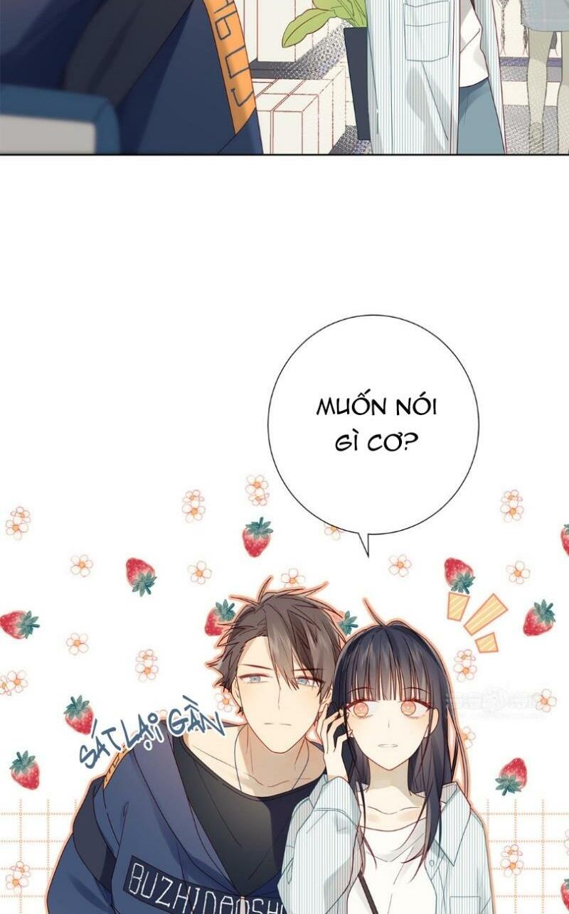 Lời Thề Như Sương Triều: Chapter 17