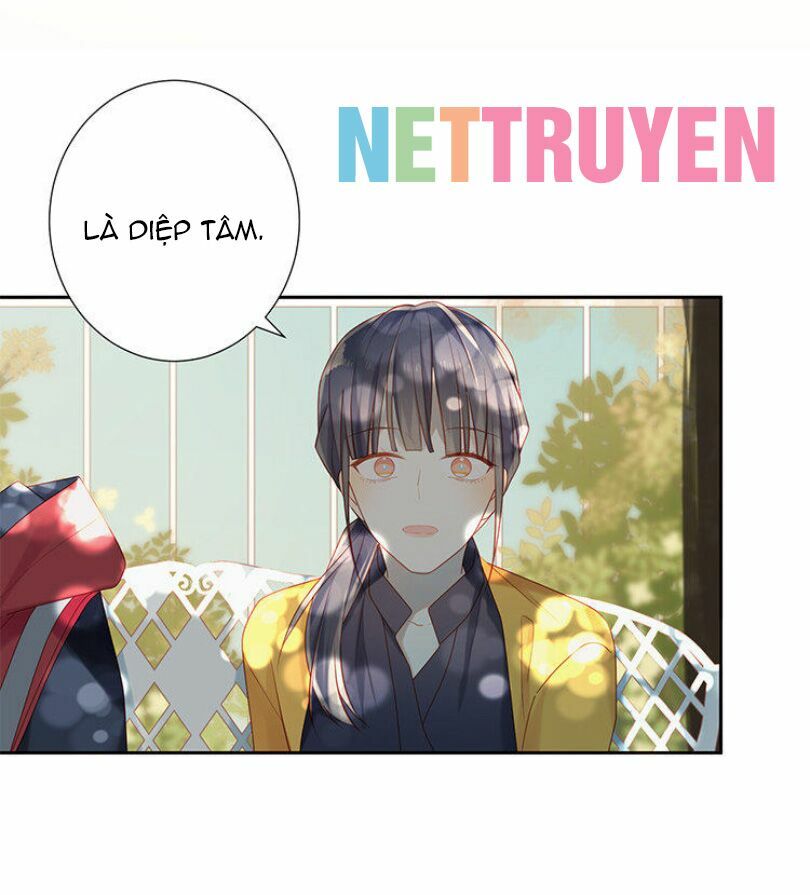 Lời Thề Như Sương Triều: Chapter 4