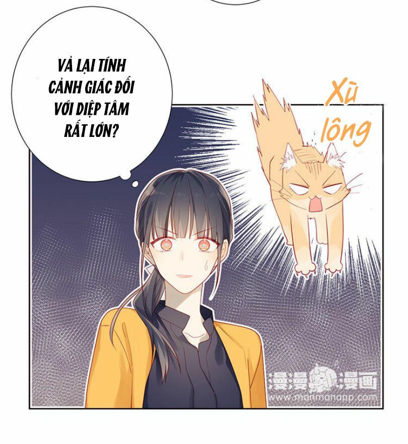 Lời Thề Như Sương Triều: Chapter 5