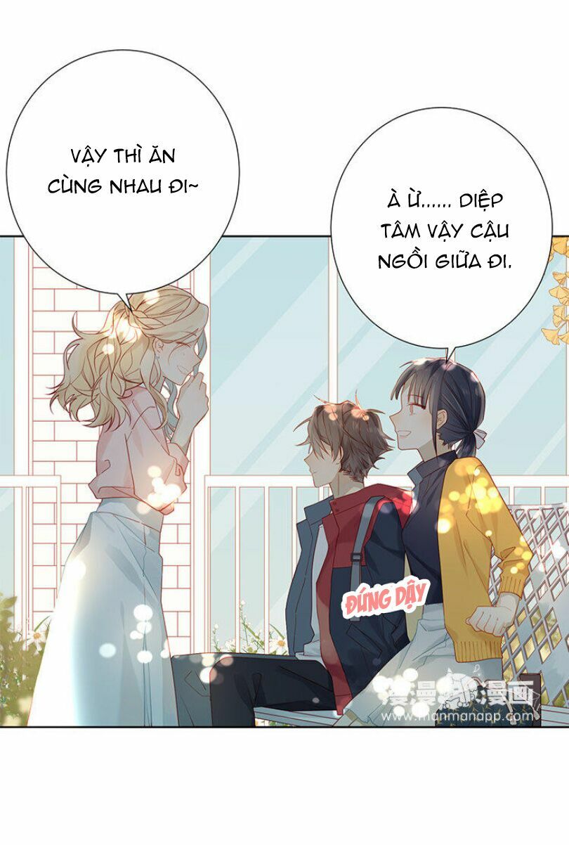 Lời Thề Như Sương Triều: Chapter 6