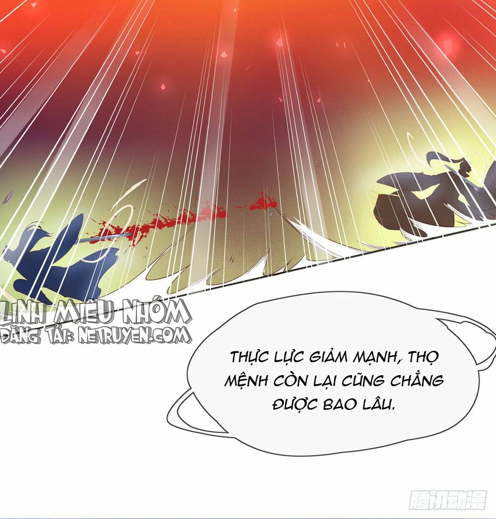 Vương Phi Tu Tiên: Đối Kháng Ma Vương: Chapter 5
