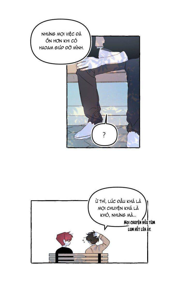 Lời yêu thì cần app để dịch không?: Chapter 10