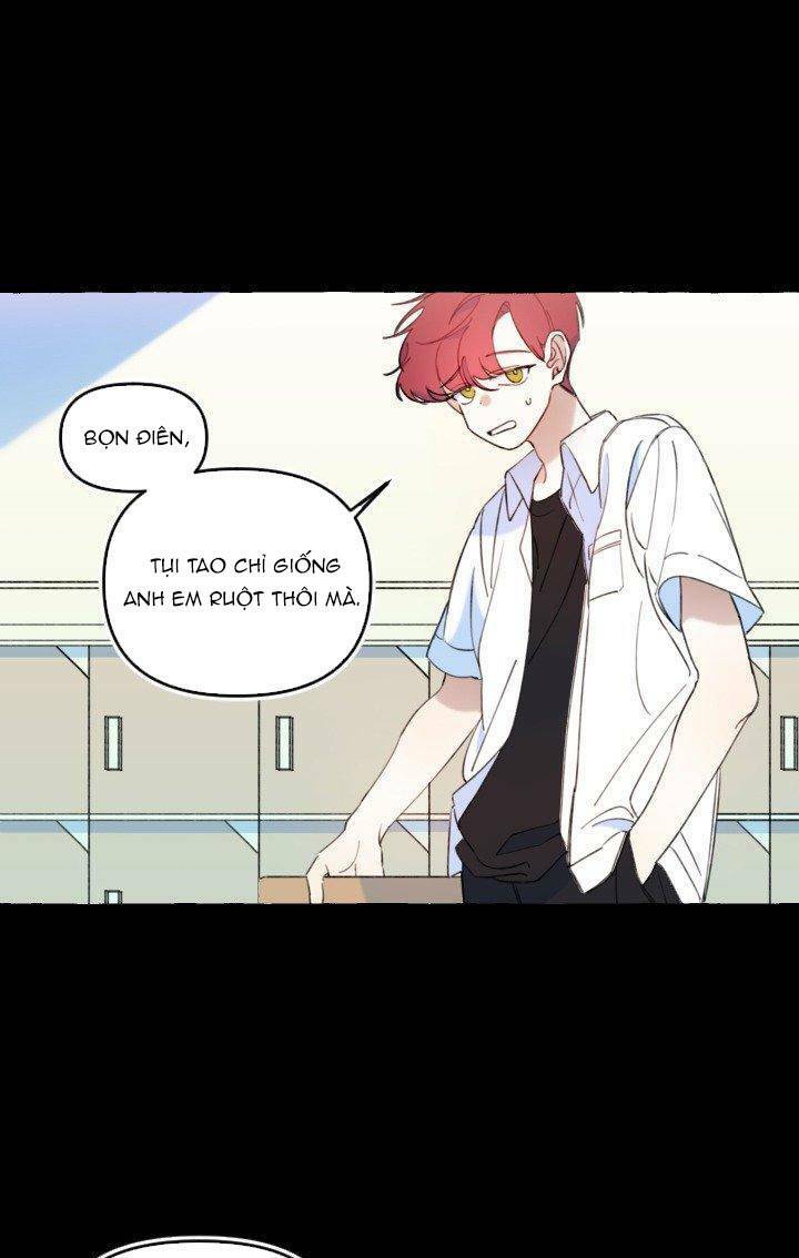 Lời yêu thì cần app để dịch không?: Chapter 11