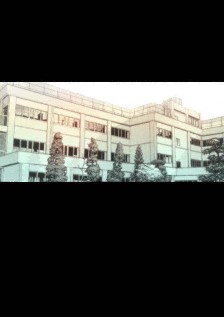 Lời yêu thì cần app để dịch không?: Chapter 11