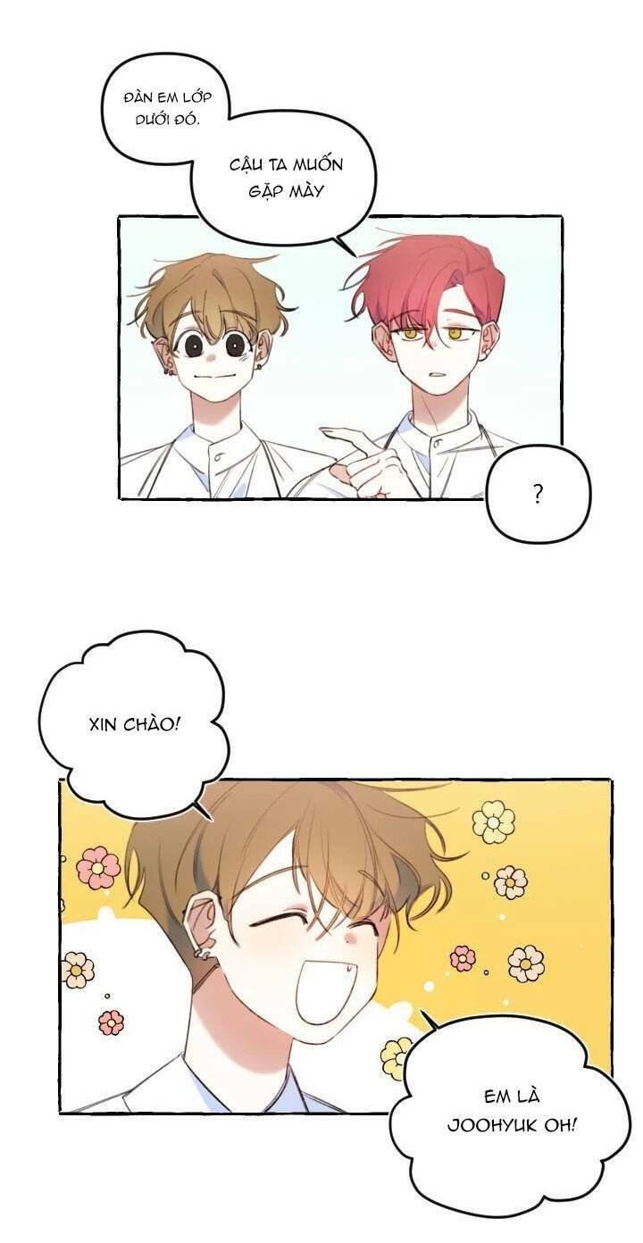 Lời yêu thì cần app để dịch không?: Chapter 15