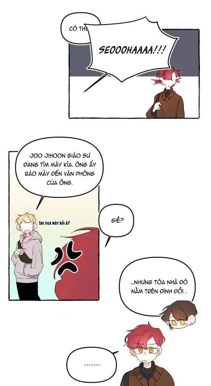 Lời yêu thì cần app để dịch không?: Chapter 8