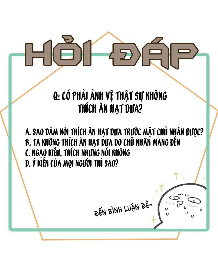 Mang Quải Hệ Thống, Nhất Trí Mạng: Chapter 6: Ngươi chẳng lẽ là đồ ngu sao