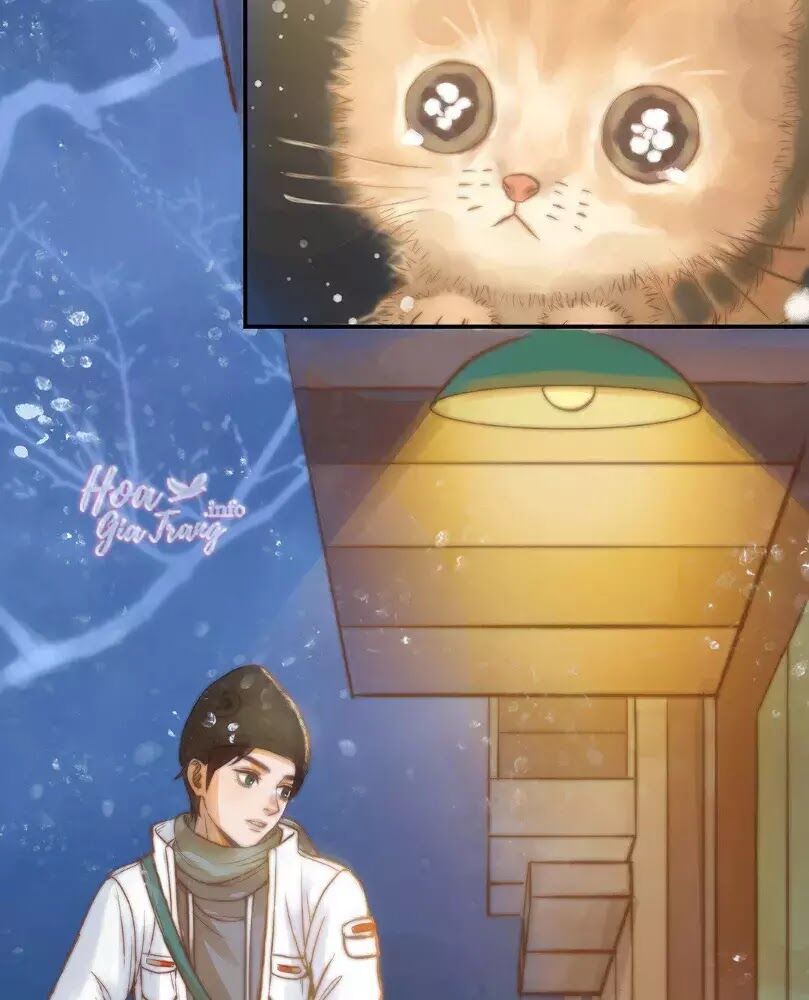 Chồng trước 18 tuổi: Chapter 12