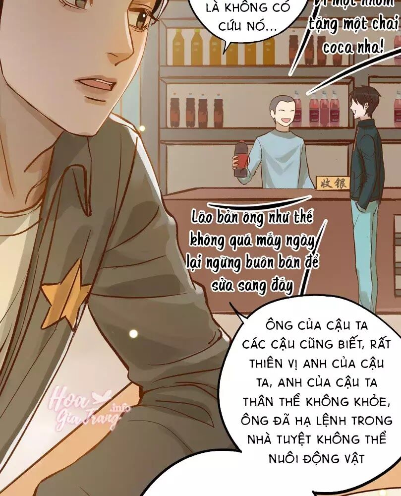 Chồng trước 18 tuổi: Chapter 12