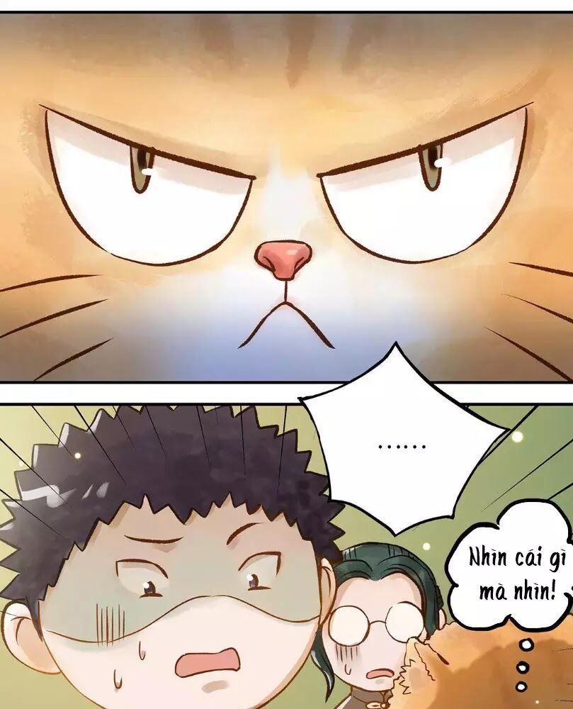 Chồng trước 18 tuổi: Chapter 12