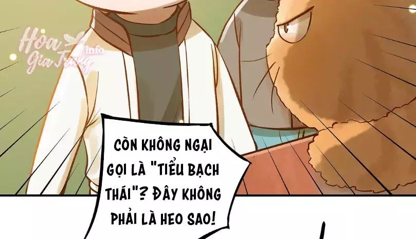 Chồng trước 18 tuổi: Chapter 12