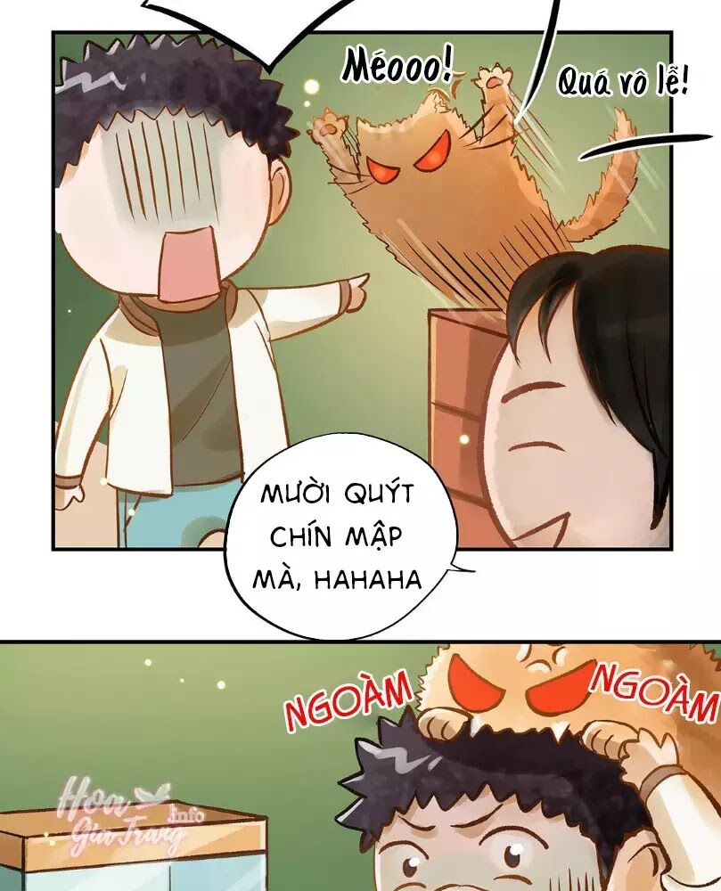 Chồng trước 18 tuổi: Chapter 12