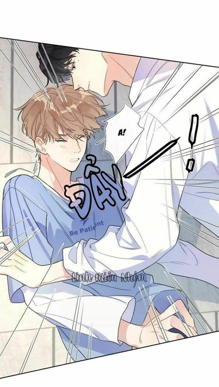 Ánh Nắng Rực Rỡ Của Tinh Trình: Chapter 2